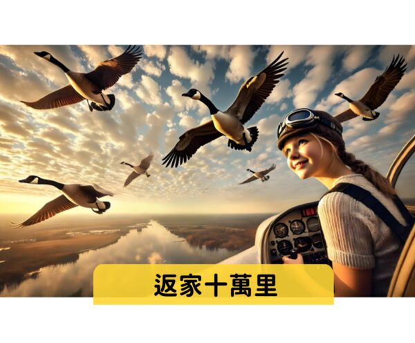 返家十萬里  難易度：★★☆