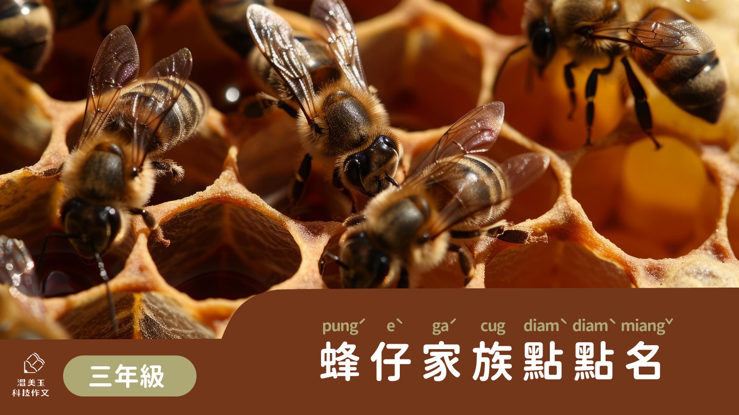 三年級-蜂仔家族點點名